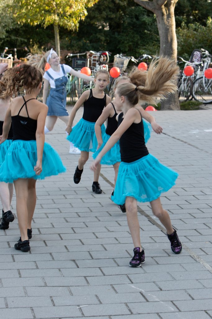 Schoolplein Festival A110.jpg